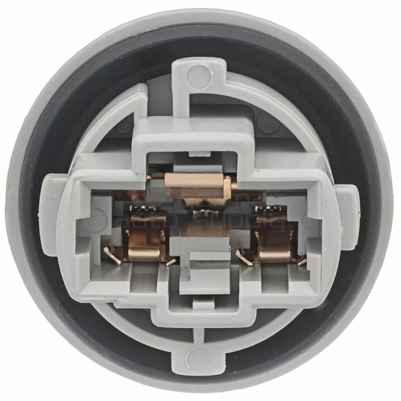 Intermotor Tail Light Socket S2612