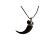 Grant Field Specimens Grizzly Bear Claw Necklace