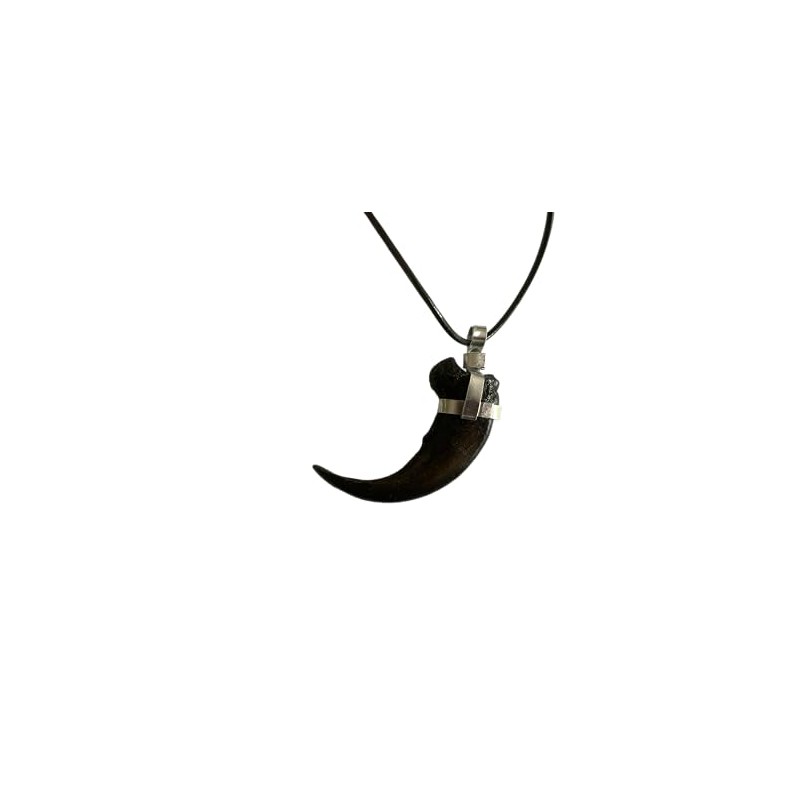 Grant Field Specimens Grizzly Bear Claw Necklace