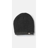 Dickies - Beanie Unisex Evadale Beanie, Winter Headwear, black