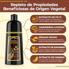 Hair Dye Shampoo, DarkBrown Hair Dye Shampoo con Tinte para Cubrir canas, 3 in 1 Semi-Permanent Hair Color para Mujer Hombre (Marrón oscuro)
