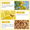 2Pack,7OZ,Dehydrated Lemon,Dried Limes for Cocktails,No Additives, 18 Pcs Umbrellas Picks,100%