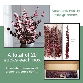 (20Pcs) Dried-Eucalyptus-Stems-Red, Fall Decorations for Home, Real Long Eucalyptus , Eucalyptus Plant Live Natural Fresh, Dried Flowers for Vase, 17" Floral Arrangement, Wedding (Red)