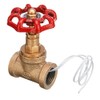 CocinaCo Vintage Steampunk 1/2 Inch Red Handle Stop Valve Light