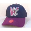 OC WISCONSIN TIMBER RATTLERS BALL CAP SMALL/MEDIUM MINOR LEAGUE BASEBALL