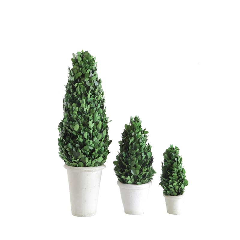 Creative Co-Op Boxwood Topiary in Clay Pot