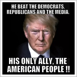 TRUMP FAKE NEWS  ANTI DEMOCRAT MAGA DECAL STICKER POLITICAL SWAMP MAGA