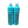 Activee Professional Argan Oil Salt Free Hair Shampoo 16 fl.