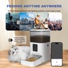 2.4G WiFi Automatic Cat Feeder, 4L Food Dispenser with 10s