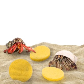 SunGrow Hermit Crab Sponges for Water, 3 Pack Unbleached Accessories & Supplies, Pet Crab Sponges Provide Nutrients and Maintain Tank Humidity, Water Dish Yellow Real Sea Sponges, 2" x 1"
