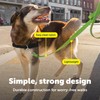 PetSafe Nylon Dog Leash Strong, Durable, Traditional Style Lead with