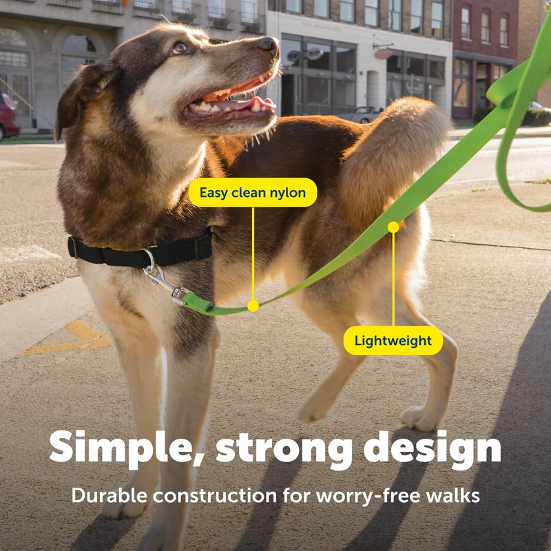 PetSafe Nylon Dog Leash Strong, Durable, Traditional Style Lead with