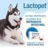 20 Cpsulas Probiticos y Prebiticos para Perros y Gatos Suplemento
