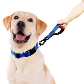 PLUTUS PET Short Dog Leash, Reflective Nylon Padded Handle, Strong Traffic Leash with Carabiner Clip, Perfect for Large or Medium Dogs (10”，Royal Blue)