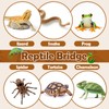 Vodolo Reptile Bridge,Bearded Dragon Hammock,Lizard Tank Climbing Accessories Gecko Reptile