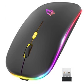 EASYTAO Mouse Inalámbrico, Mouse Bluetooth/Wireless2.4GHz Modos Dual Recargable con Iluminación RGB, Click Silencioso con Receptor USB 3 Ajustable DPI Ratón Para Computadora, Portátil, PC, Mac (Negro)