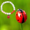 PLITI Ladybug Bracelet - Red, Beaded, Heart Shape - She