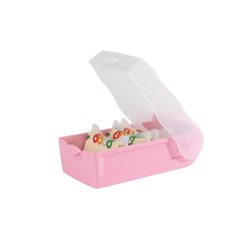 HAN Croco flashcard box, easy to learn vocabulary with 5-compartment