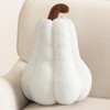 Phantoscope Teddy Fleece Squash Pumpkin Throw Pillows, Thanksgiving Ultra Soft