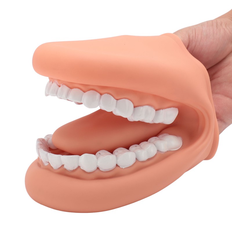 Mouth Puppet with Tongue 28 Teeth Silicone Speech Therapy Demonstration