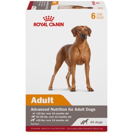Royal Canin Canine Health Nutrition Adult In Gel Dog Food, 13.5 oz (Pack of 6)