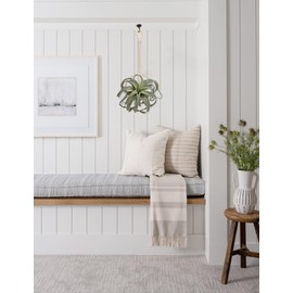 Artificial Air Plants 11 Inch Faux Flocking Tillandsia Real Touch Lifelike Fake Succulents Fall Plants for Home Garden Office Indoor Outdoor Decor