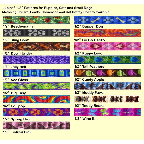 LupinePet Originals 1/2" Go Go Gecko 10-16" Adjustable Collar for Small Dogs