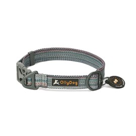 OllyDog Rescue Adjustable Dog Collar with Sturdy Buckle, Lightweight Training Collar for Large, Medium and Small Dogs (Large, Prism)