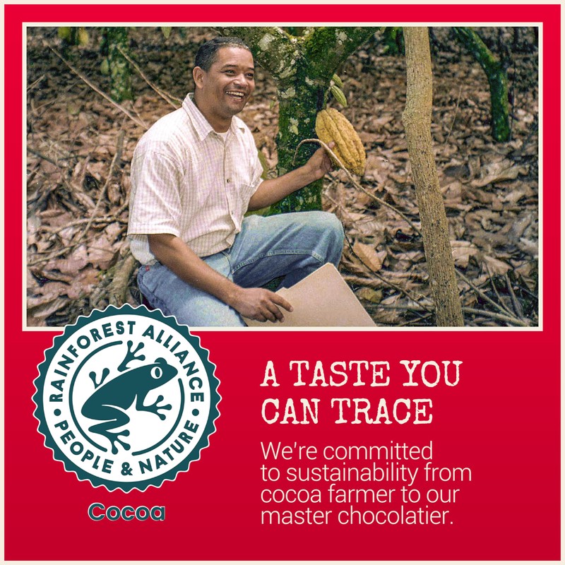 Chocolove Cherry & Almonds Dark Chocolate Bars | 55% Cocoa