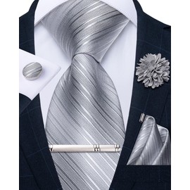 DiBanGu Mens Silk Tie and Bowtie Lapel Pin Tie Clip Set Paisley Solid Necktie and Pocket Square Cufflinks for Wedding Party, Silver Grey