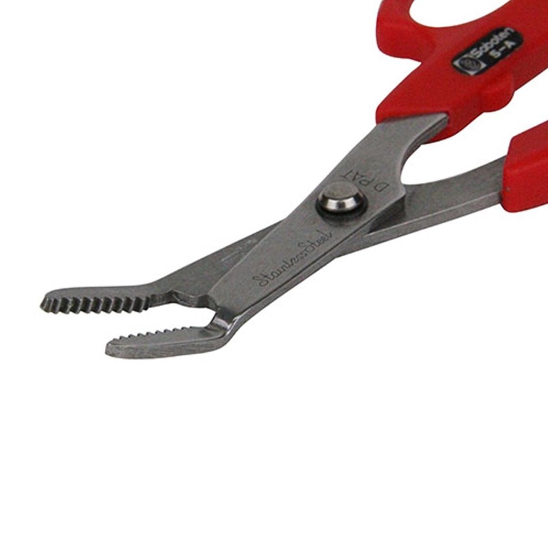 Cactus No.5-A Without grass roots