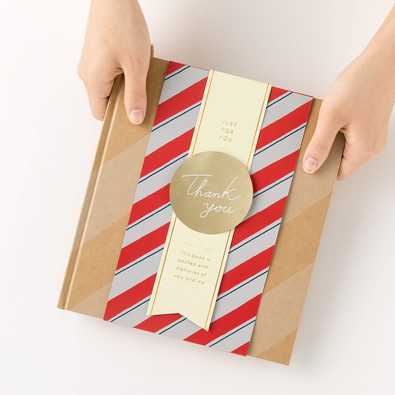 Iroha Publishing Gift WRAPPING ALBUM Gift Wrapping Album L Party