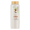 Ritual Botanico- Control de Caspa con Menta y Chile, Shampoo