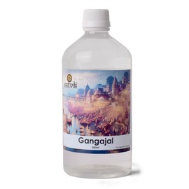 SATVIK Pure & Natural 500 ml Ganga Jal Water from Garh Ganga, Holy Unfiltered Gangajal for Pooja, Vastu, Purity, Spiritual Upliftment & Positivity