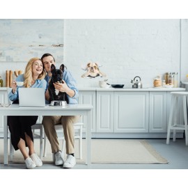 Winston & Bear 3D Dog Stickers - 2 Pack - British Bulldog Sticker for Wall, Fridge, Toilet and More - Retail Packaged English Bulldog Gifts