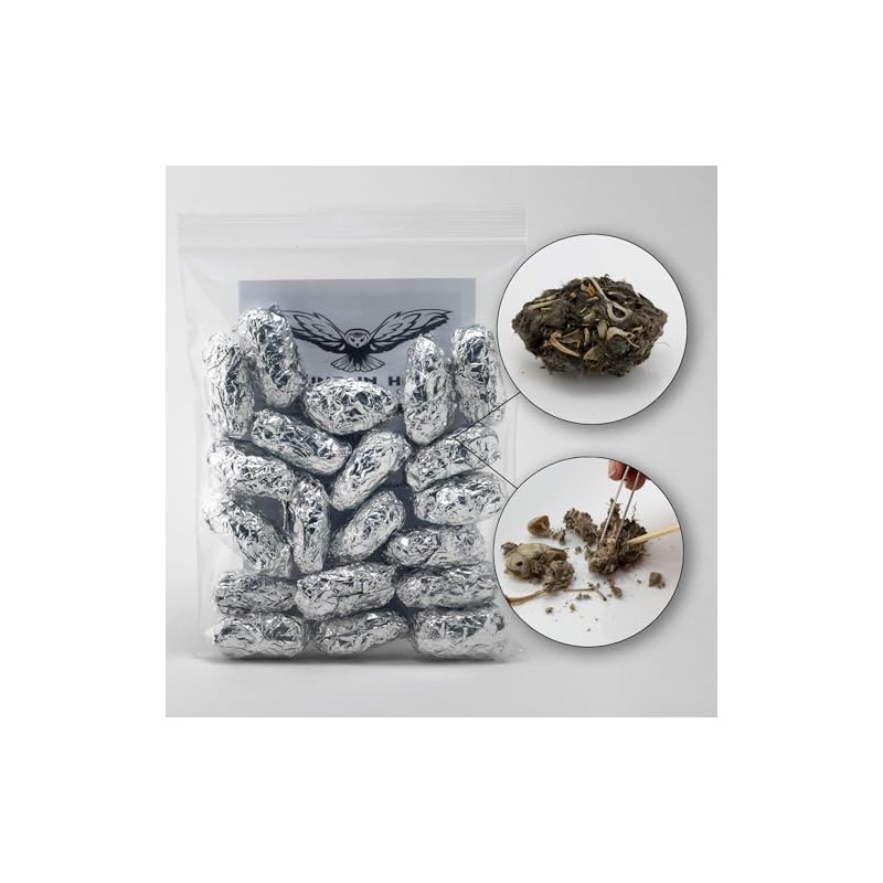 Extra Large Barn Owl Pellets Pack of 20 and Bone