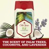 P&G Old Spice Fiji Body Wash 16oz (473ml)