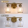 Mecgirn Brushed Gold Bathroom Vanity Light Over Mirror, 2 Light