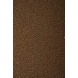 Netuno 10x Coloured Cardboard, Dark Brown, Textured on One Side, DIN A4, 210 x 297 mm, 220 g, Prism Caffe Coloured Cardboard, Embossed Card Cardboard, Colourful with Embossing, Craft Cardboard,