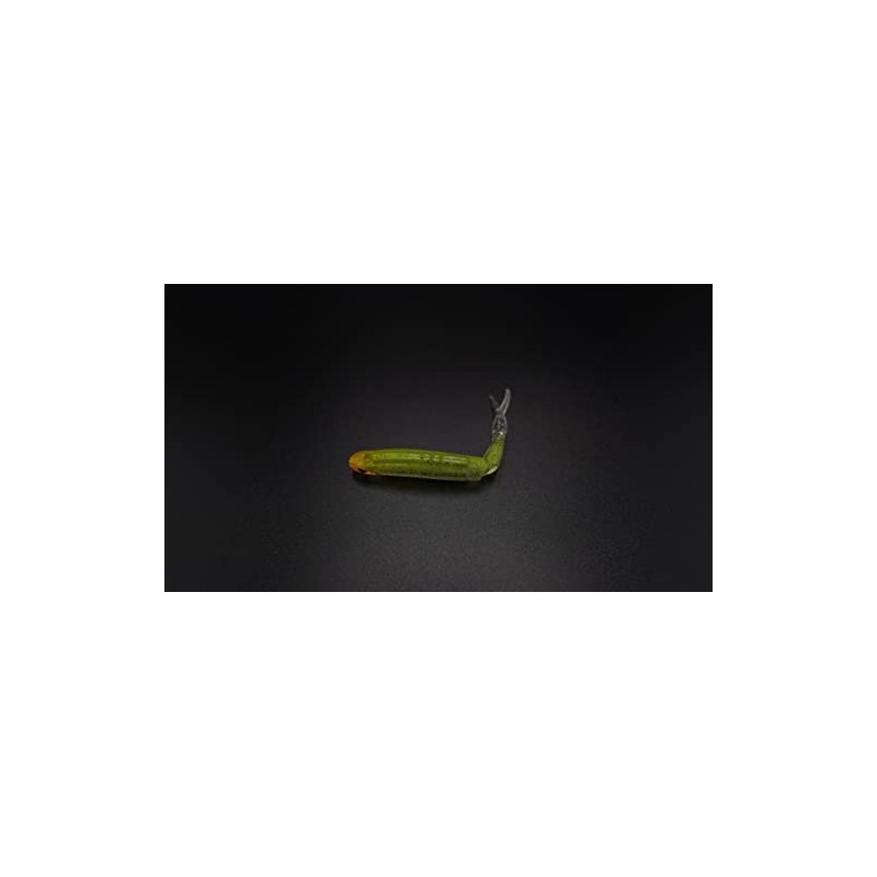 BunBun High Roll Bath Worm Roll Action Mid Host Bass