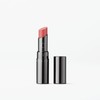 Chantecaille 샹테카이 립 시크 2g Chantecaille Lip Chic 2g