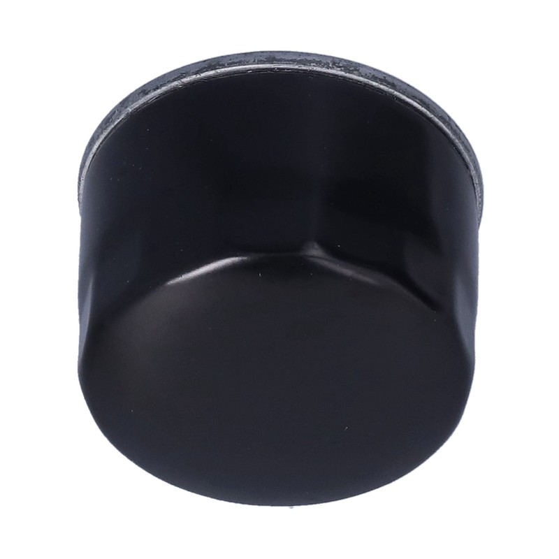 Lawn Mower Air Filter with Fuel Pump Oil Filter Fuel