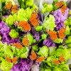 YCHTEWY Monarch Butterfly Decor Feather Butterfly Decorations Set of 12