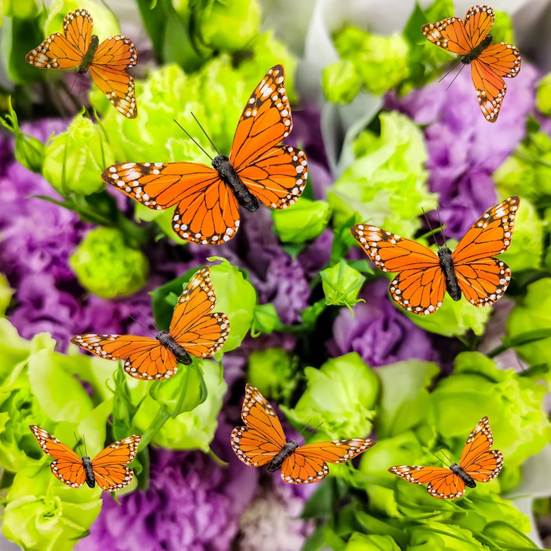 YCHTEWY Monarch Butterfly Decor Feather Butterfly Decorations Set of 12
