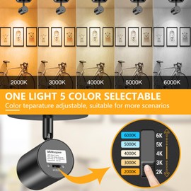 VANoopee 5-Color Ceiling Spotlight Flush Mount Adjustable Directional LED Spot Lights Indoor Dimmable Ceiling Light Fixture for Accent Art Picture Living Room - CRI90+ 24° Flicker Free 10W 800lm Black