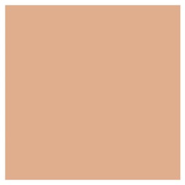 Lancome Teint Idole Ultra Wear Stick with Kabuki Brush 03 Beige Diaphane 9.5g