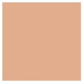 Lancome Teint Idole Ultra Wear Stick with Kabuki Brush 03 Beige Diaphane 9.5g