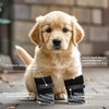 Anti Slip Dog Grip Sock with Adjustable Strap, 4Pcs Anti-Slip