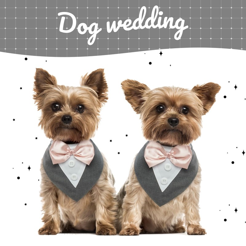 Kuoser Dog Neckerchief, Christmas Dog Bandana, Dog Bow Tie, Bow