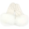 Sandy Ting Winter Women's Lambskin Leather Gloves with Fox Fur